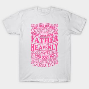 James 1:17 T-Shirt